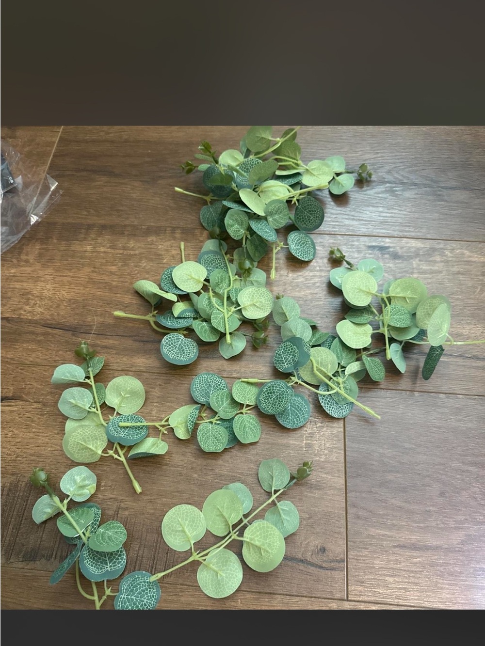 Botanical bundle - Picture 7 of 8